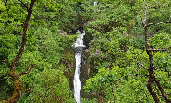 Waterfalls at Devils Bridge